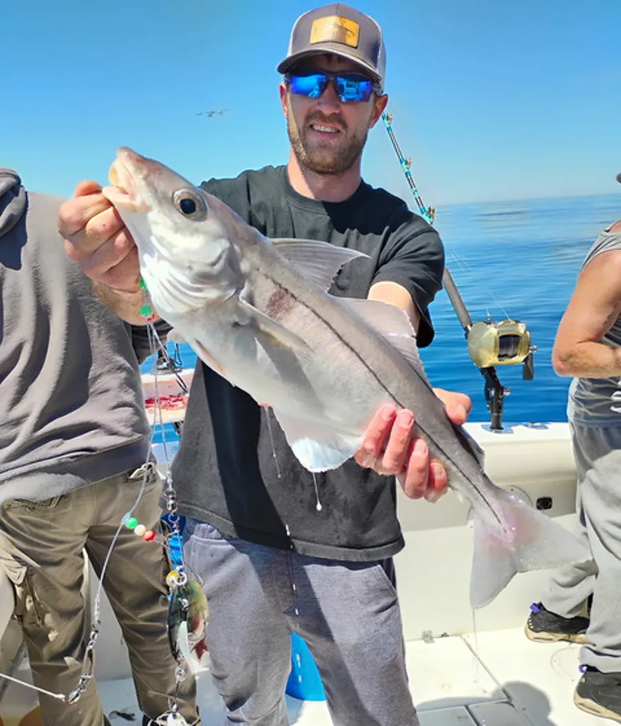 Adventureandcatch Charters haddock