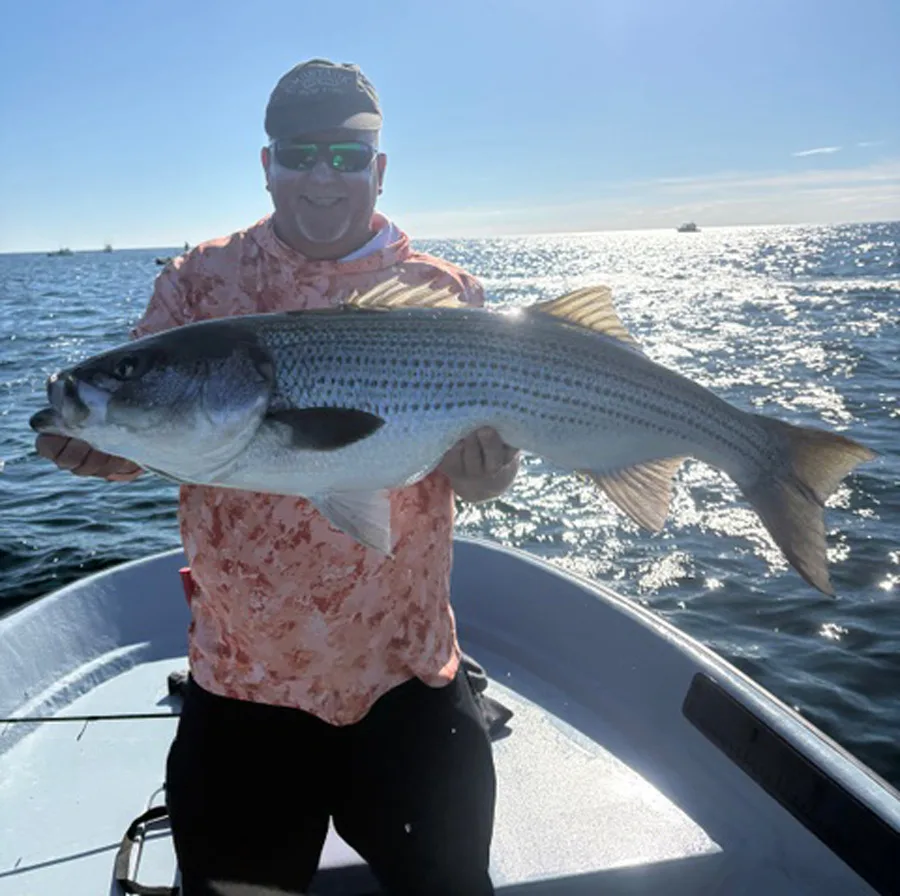 Diamond Pass Charters striped bass