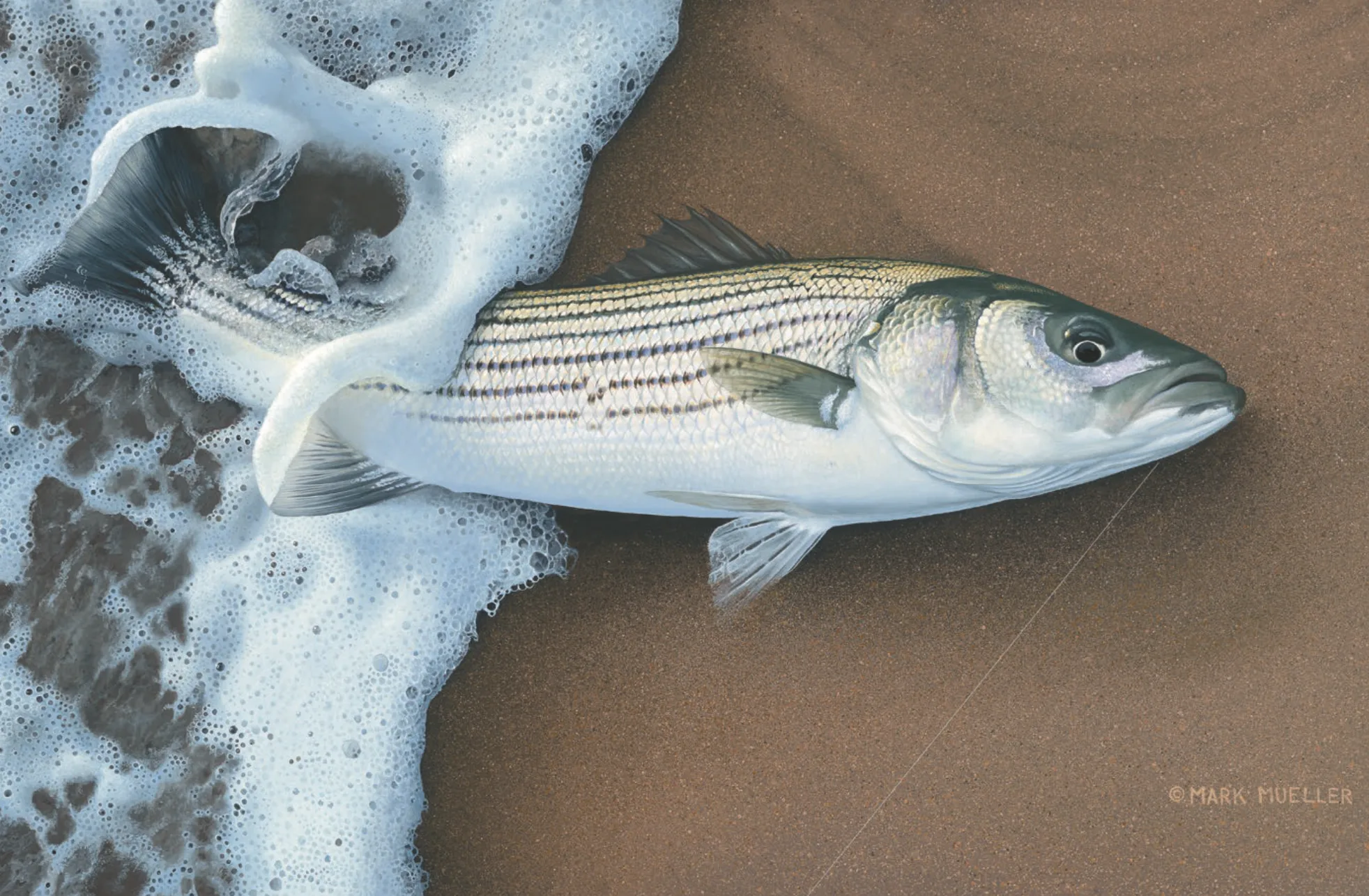 Angling Artist: Mark Mueller