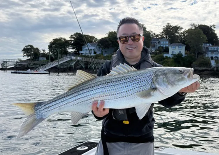 Tomo with Salem striped bass