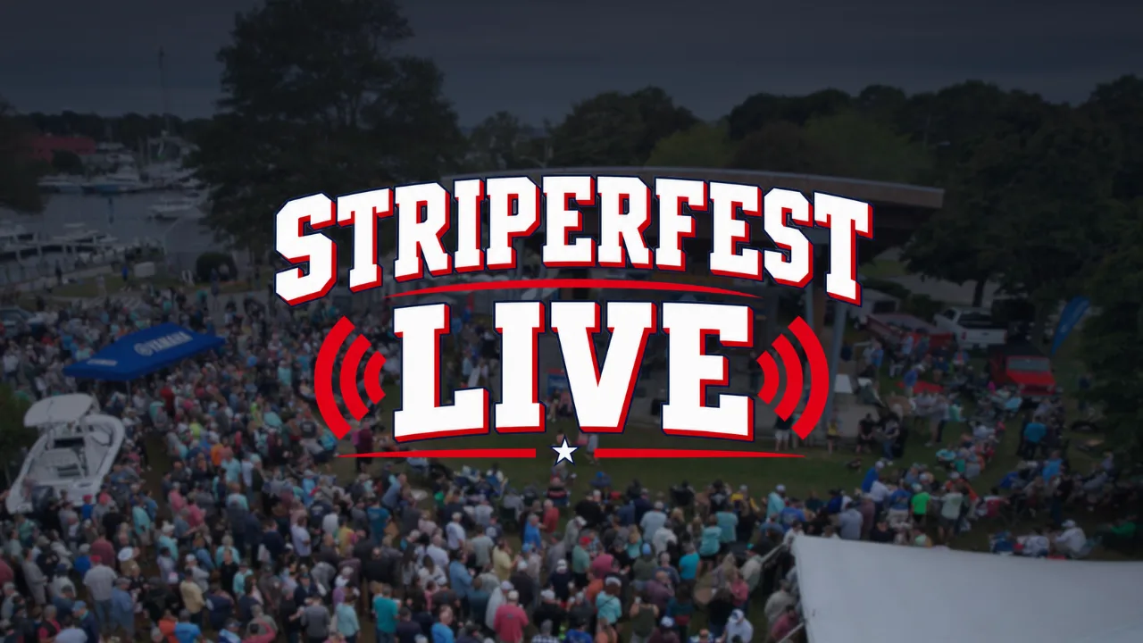 StriperFest LIVE