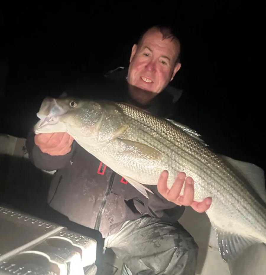 Westport River striped bass