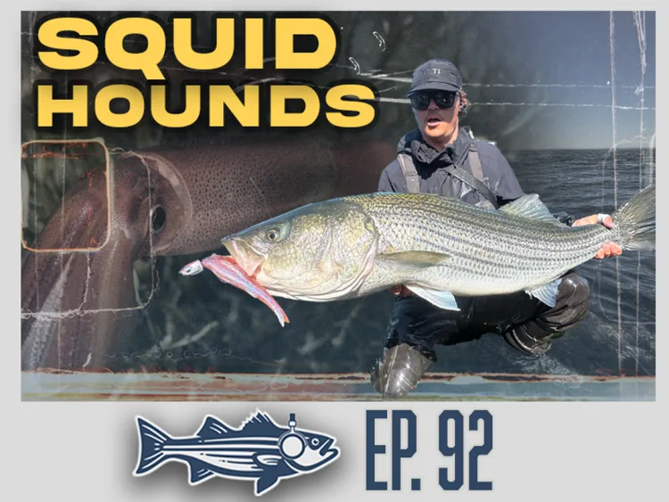 Squid Hounds | OTW Podcast #92