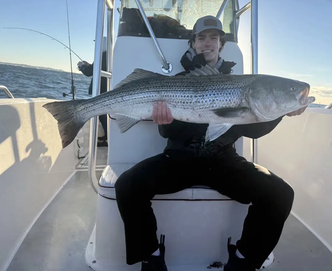 Diorio Guide Service striped bass