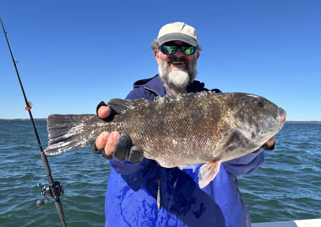 FishSticks Charters tautog
