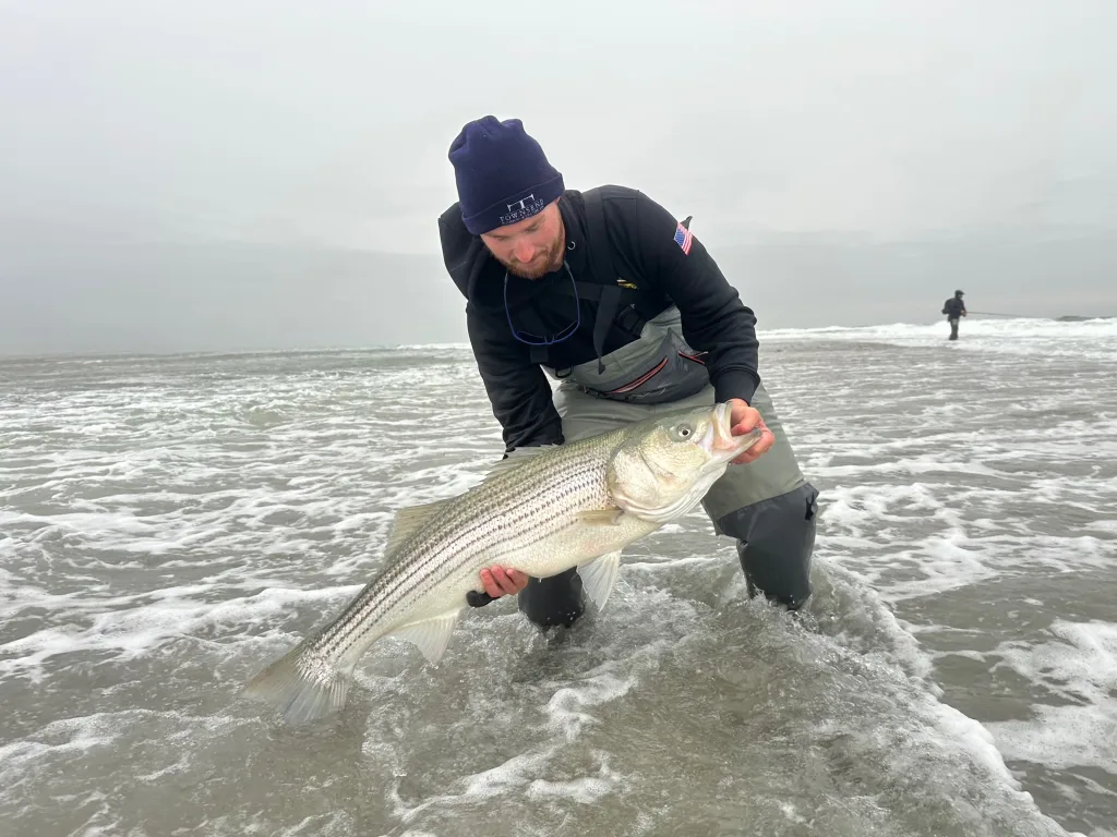 Cape Cod Fishing Report – October 1, 2026