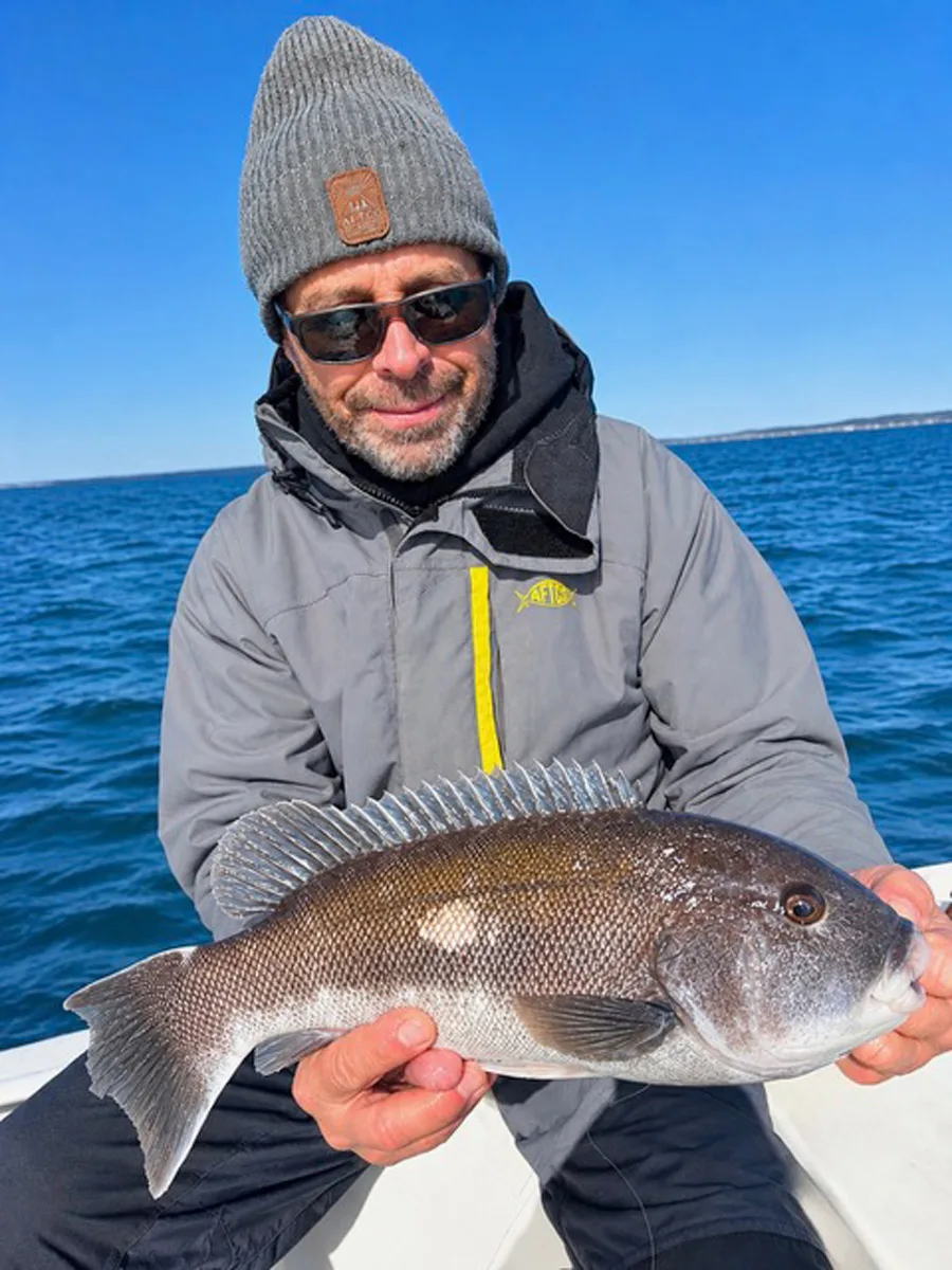 Little Sister tautog