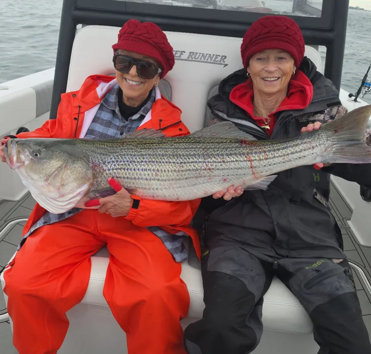 Diorio Guide Service striped bass