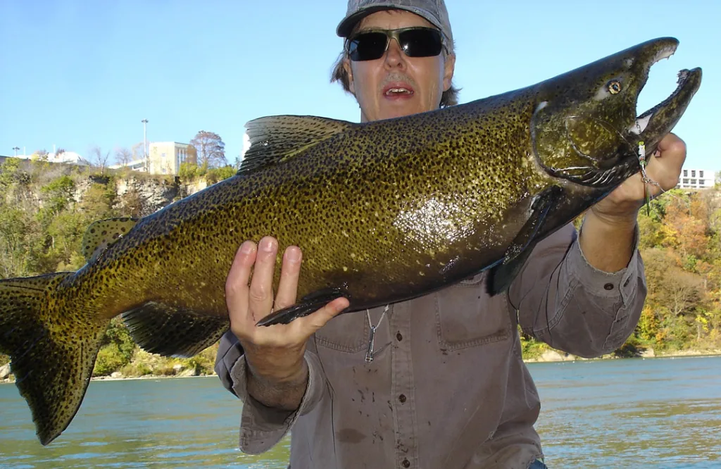 Mike Rzucidlo with salmon