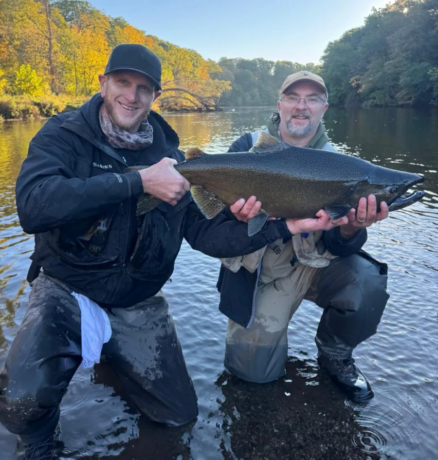 Orleans king salmon