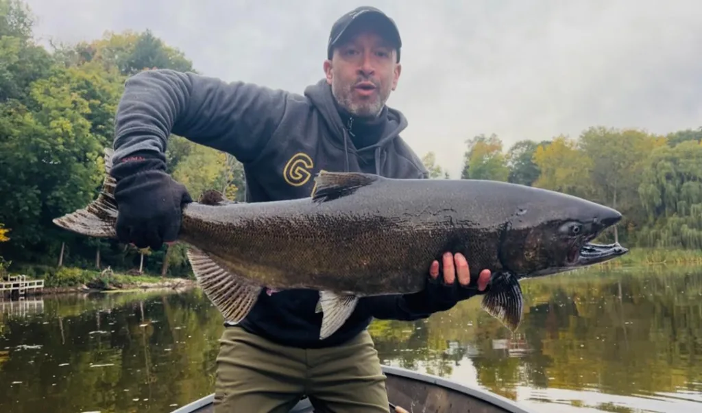 king salmon