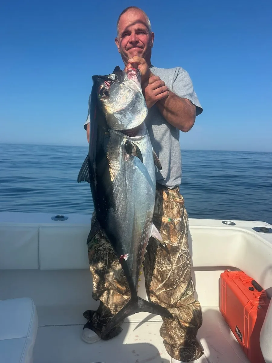Reel Deal Charters bluefin tuna