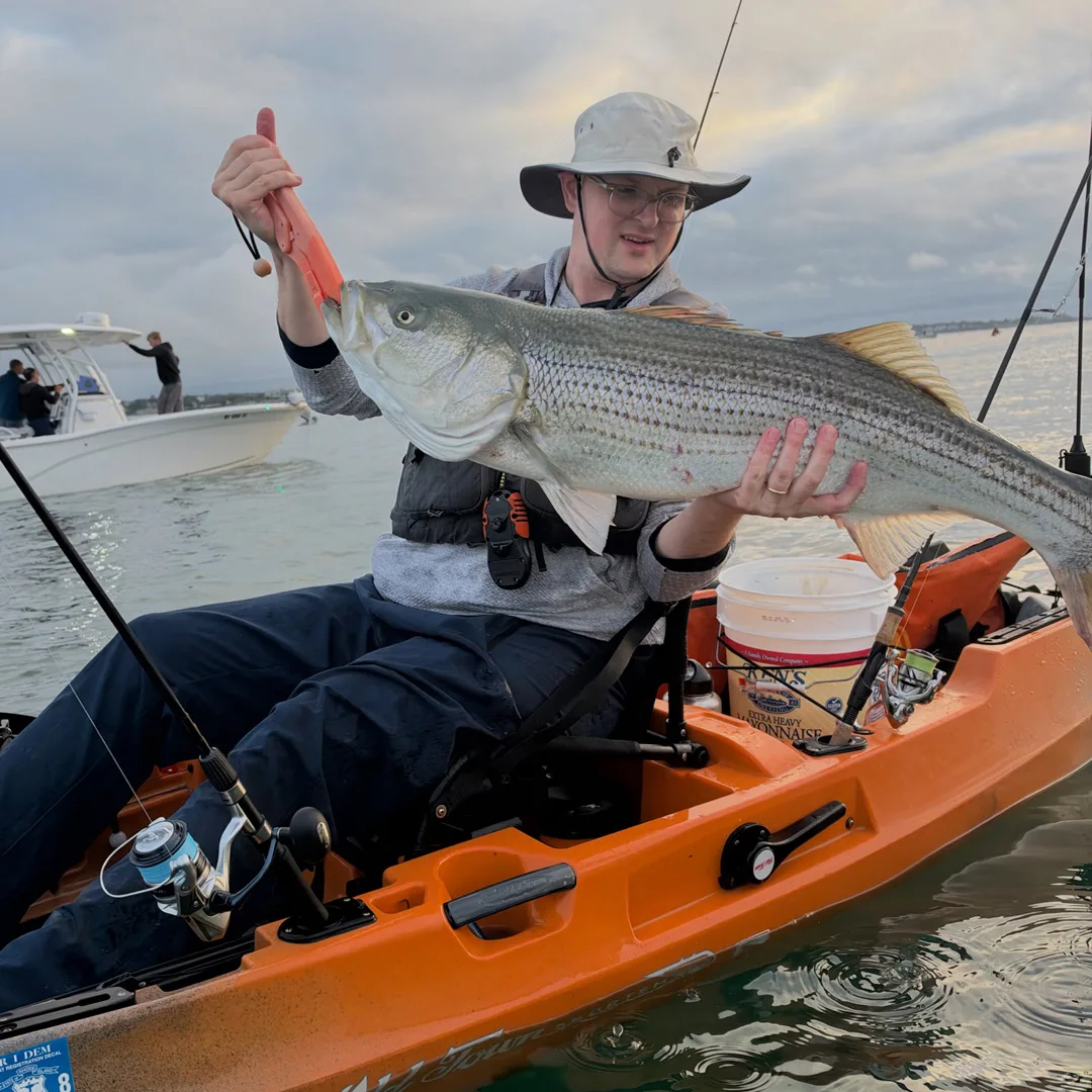Peter with striped bass
