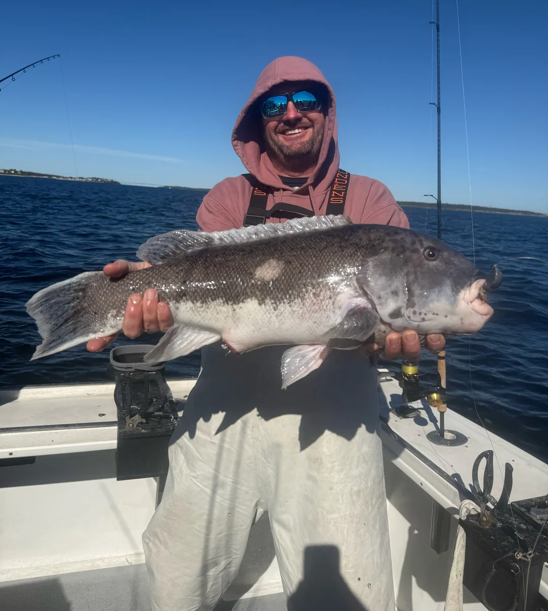 Tall Tailz Charters tautog